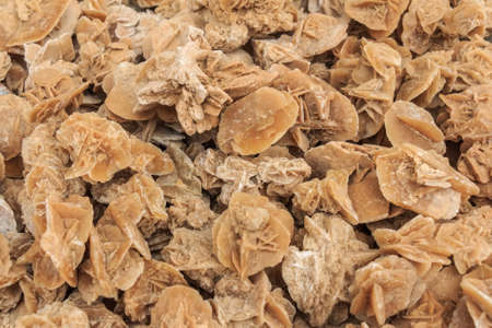 Stone desert rosesの写真素材