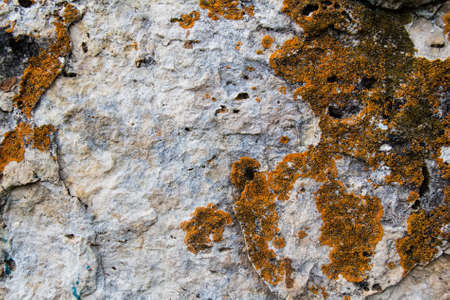 Stone covered by lichen. Natural textured background. Brown rock with cracks and colorful spots of...