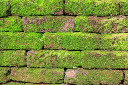 Brick wall texture captured in ancient Polonnaruwa city in Sri Lanka. The age of this bricks is milleniumの写真素材