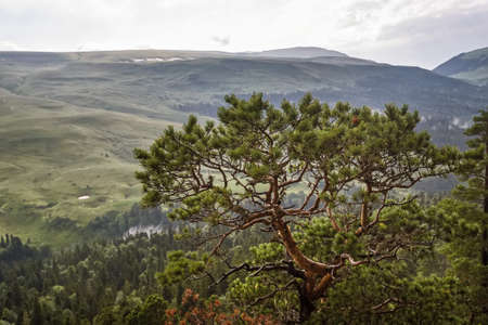 Landscape of mountain alpine meadow during rainy dayの写真素材