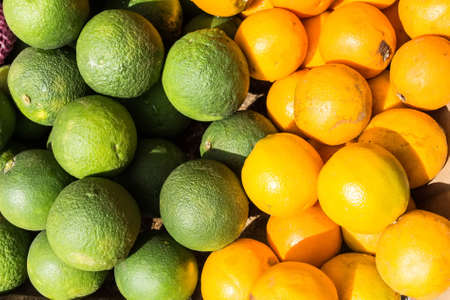 Fresh oranges and limesの写真素材