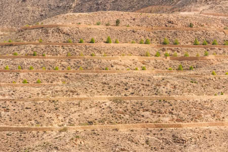 Desert landscape in North Africaの写真素材