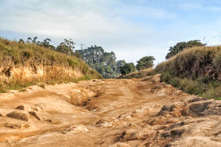 Scenic path in Horton Plainsの写真素材