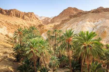 Mountain oasis Chebikaの写真素材