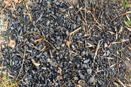 Ashes and emberの写真素材