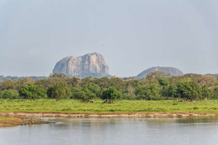 Landscape Yala National Park, Sri Lankaの写真素材