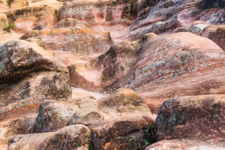 Scenic path in Horton Plainsの写真素材