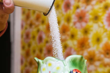 Sugar consuption concept