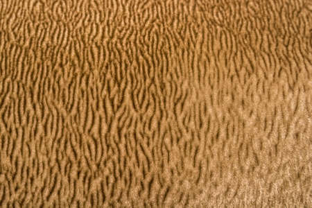 Close up of wrinkled woolen fabricの写真素材