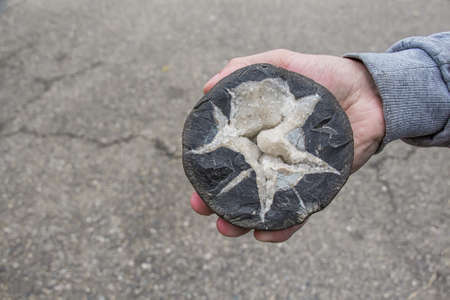 Close up concretion stone