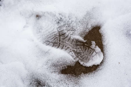Close up of single footprint in the snowの写真素材