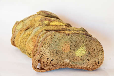 Slices of old moldy rye bread on white backgroundの写真素材