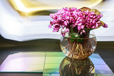 Bouquet of violet flowers or Viola Odorata in bowlの写真素材