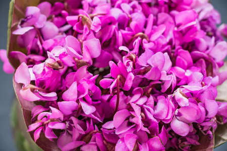 Bouquet of violet flowers or Viola Odorata in bowlの写真素材