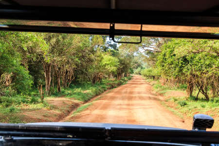 Landscape with road from car in Yala National Parkの写真素材