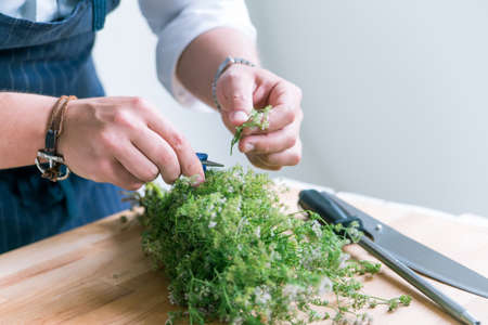 Chef cooks mealの写真素材