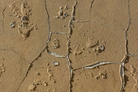 Brown cracked painting on grey concrete surface