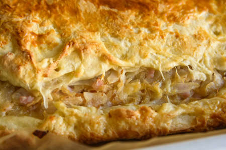 Woman cooking cabbage pieの写真素材