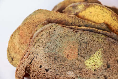 Slices of old moldy rye bread on white backgroundの写真素材