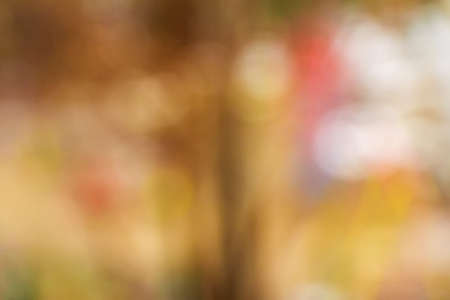 Natural blured background with bokehの写真素材