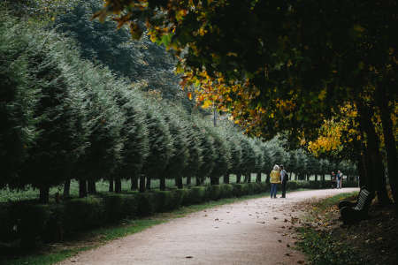 Summer in the park trees alley with two women