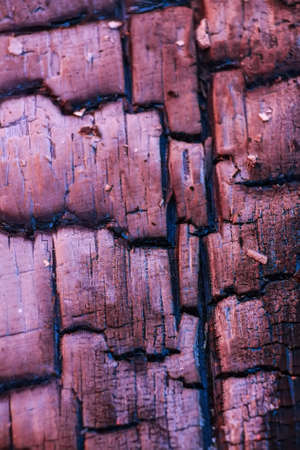 Closeup burnt firebrandの写真素材