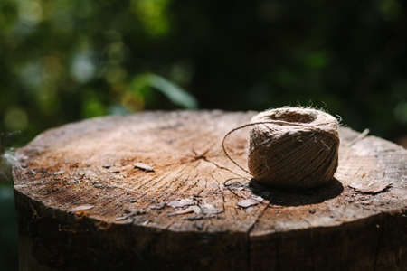 Hank of twine lies on tree stump