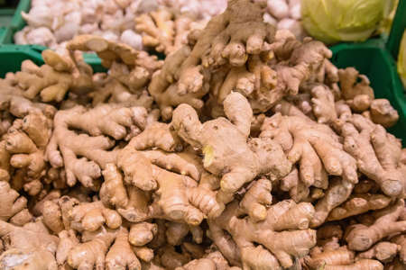 Fresh organic ginger roots backgroundの写真素材