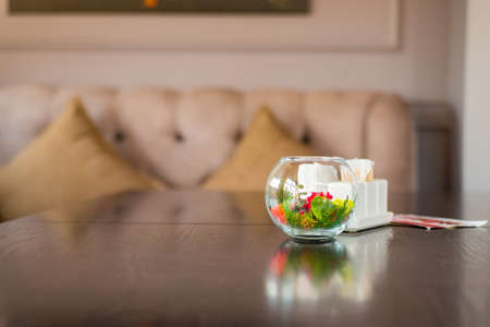 Decorative colorful plants in glass bowlの写真素材