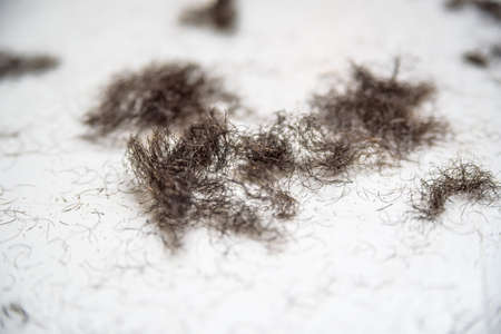 Shaved beard hair on white background textureの写真素材