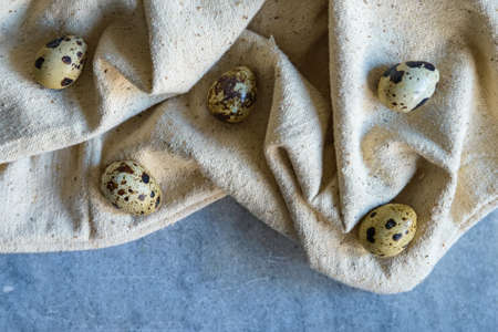 Easter stillife with quail eggs and willow branch on blue backgroundの写真素材