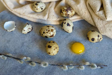Easter stillife with quail eggs and willow branch on blue backgroundの写真素材