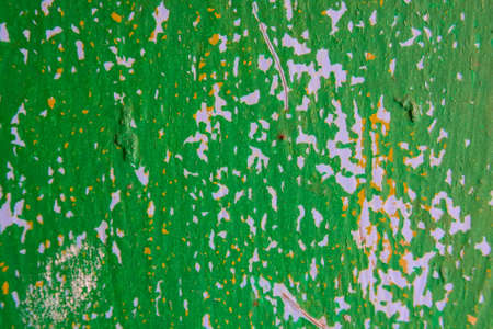 Green cracked painting on old plaster wall surfaceの写真素材