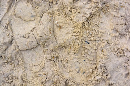 Wet sand with trails background texture