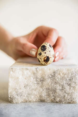 Female hand touches quail eggの写真素材