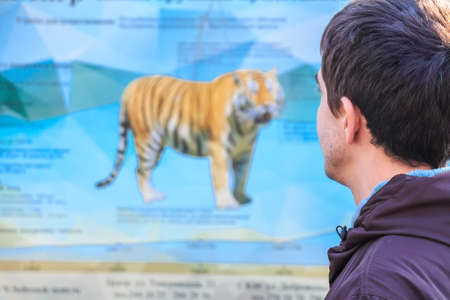 Back view of man looking at poster in zooの写真素材