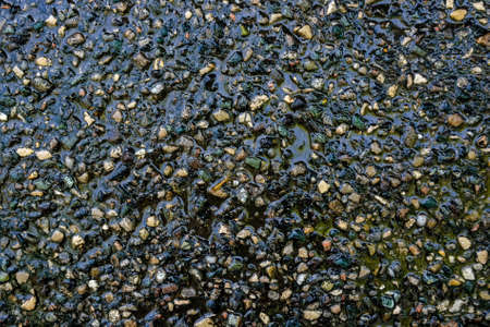 Colorful wet pebble of stone wallの写真素材