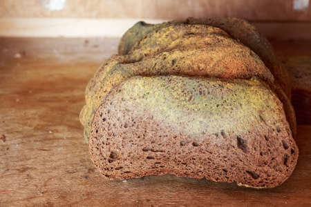 Slices of old moldy rye bread on wooden shelf