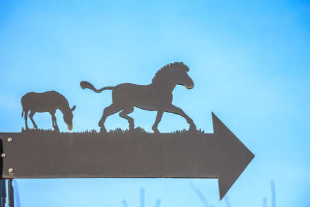 Close up arrow with horses silhouette in zooの写真素材
