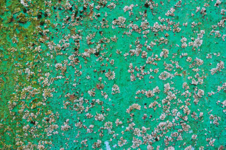 Closeup obsolete green surface covered with lichenの写真素材