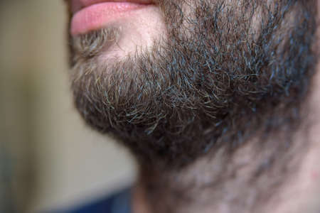 Close up of lower part of mans face with beardの写真素材