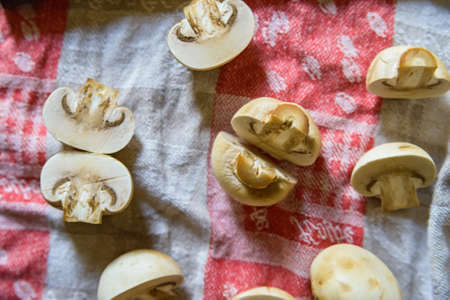 Fresh raw mushrooms on cloth with nkifeの写真素材