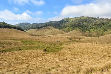 Beautiful view of Horton Plainsの写真素材