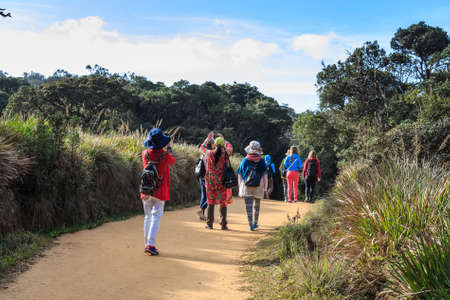Group of travelers hike in Horton Plainsの写真素材