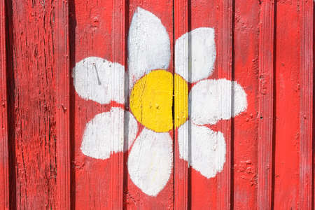 Chamomile painted on red wooden fence close upの写真素材