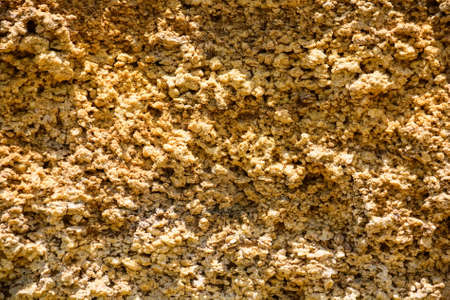 Yellow cquina background texture