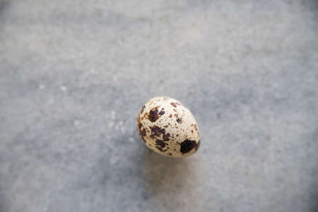 Single quail egg on white backgroundの写真素材