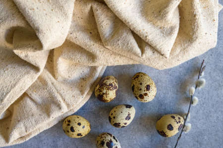Quail eggs and willow branch with beige clothの写真素材