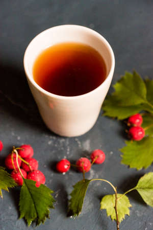 Top view teacup and hawthorn berriesの写真素材
