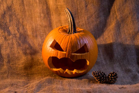 Scary jack-o-lantern and conifer cones close upの写真素材